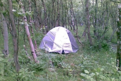 S6201024_Folkefest 08 034