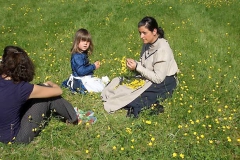 S6201024_Folkefest 08 068